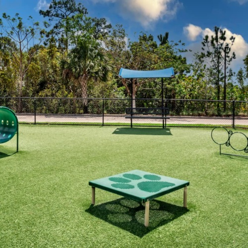 dog park with pet toys and green turf